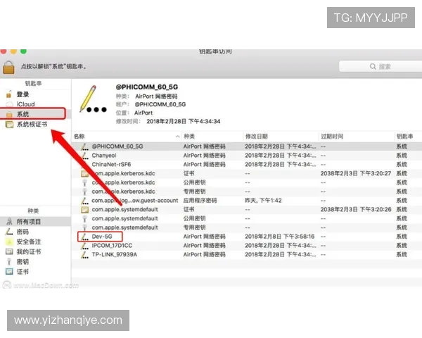欧博会员官网入口网址官方入口地址及访问技巧分享